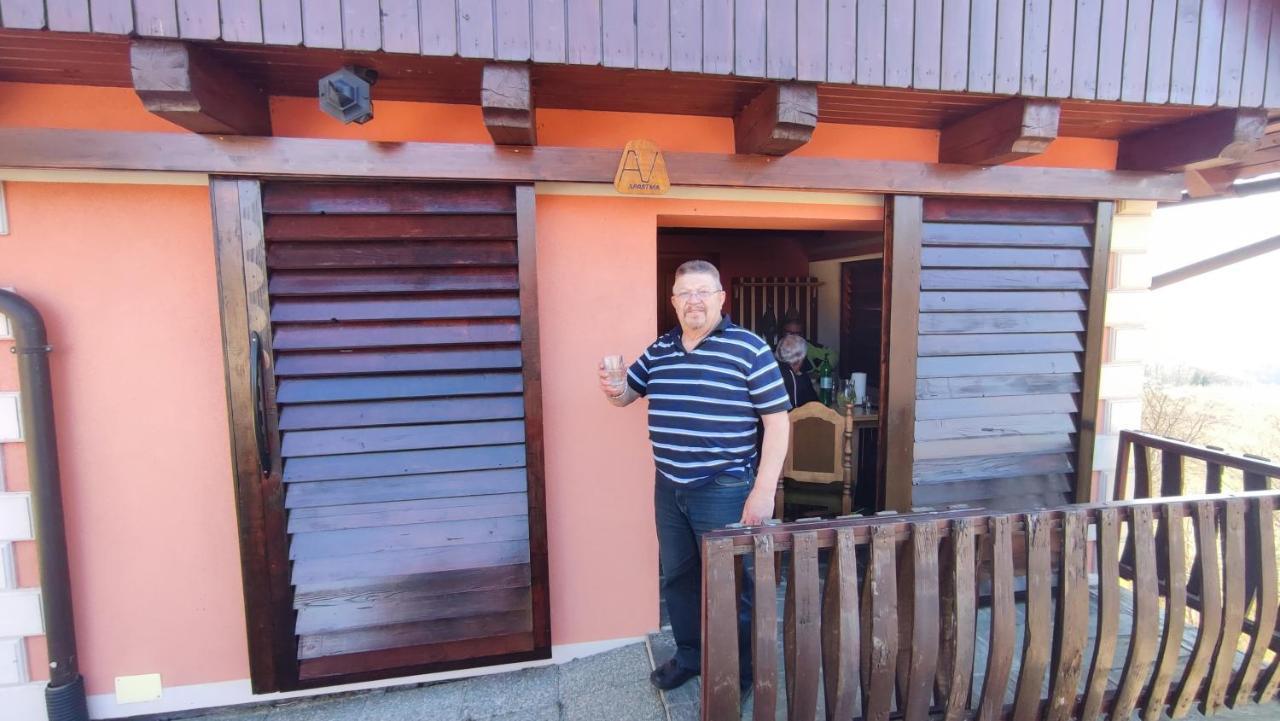 Vesna Apartment *